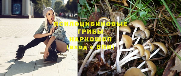 альфа пвп Елабуга