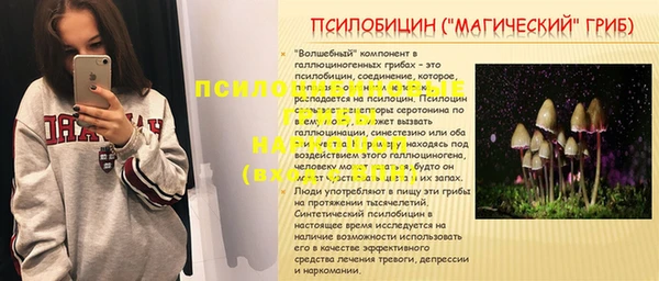 ALPHA-PVP Ельня