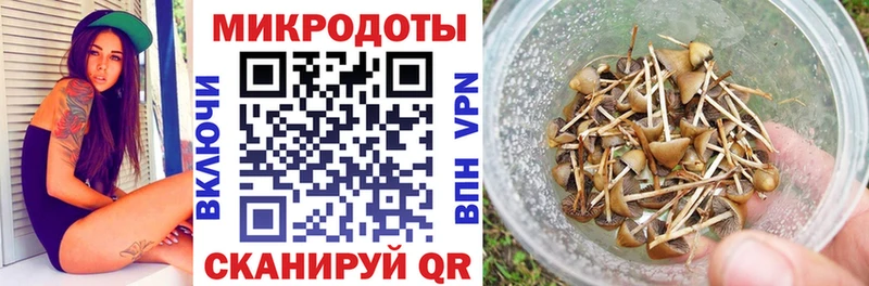 Псилоцибиновые грибы Magic Shrooms  Пятигорск 